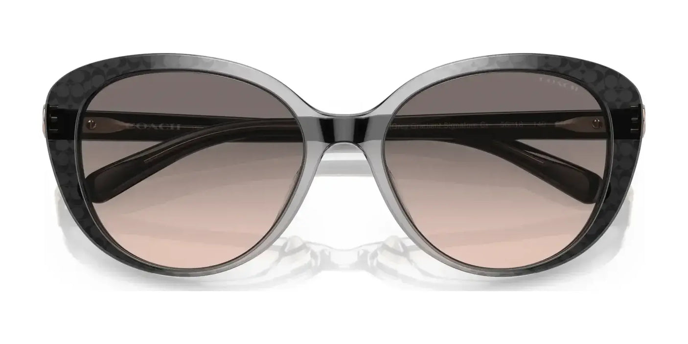 Coach CD479 HC8348U Sunglasses | Size 56