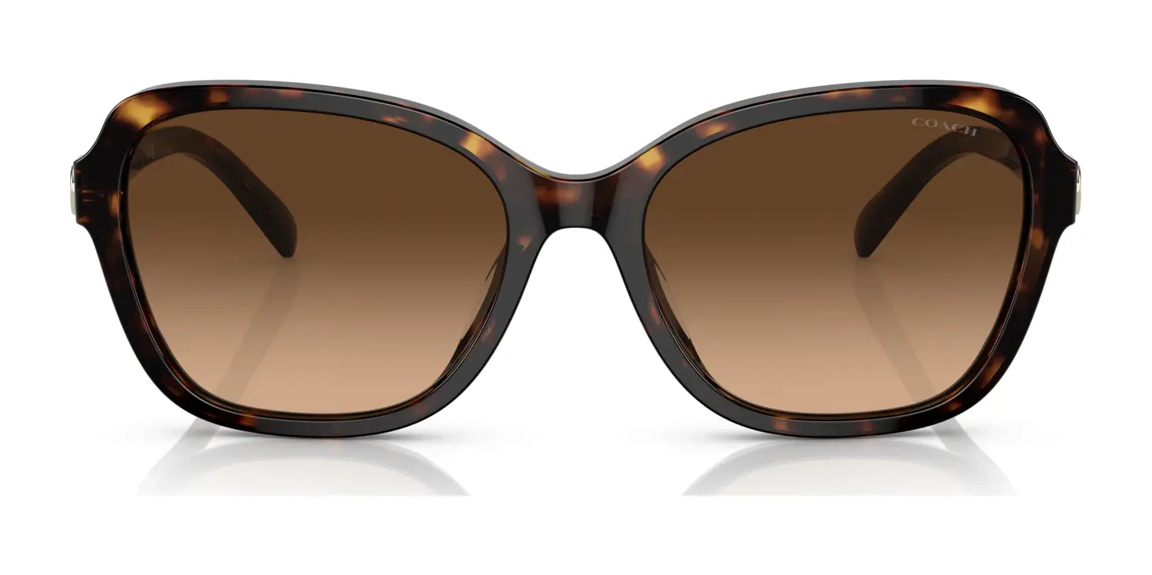 Coach CD481 HC8349U Sunglasses | Size 56