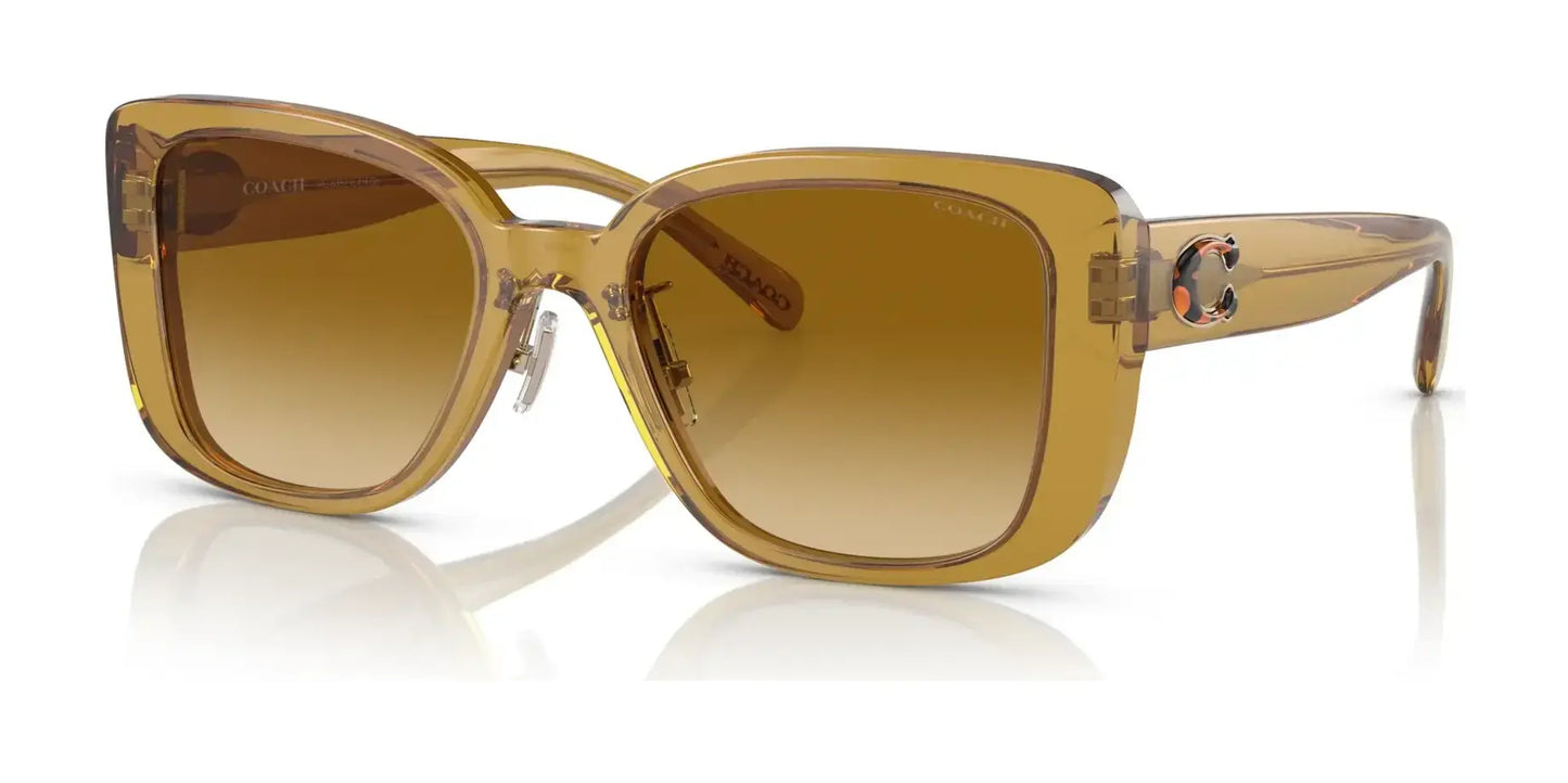 Coach CD472 HC8352 Sunglasses Transparent Honey / Yellow Gradient