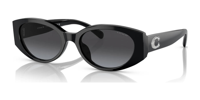 Coach CD867 HC8353F Sunglasses | Size 57 / Black / Grey Gradient (3N 15.2%) №50028G