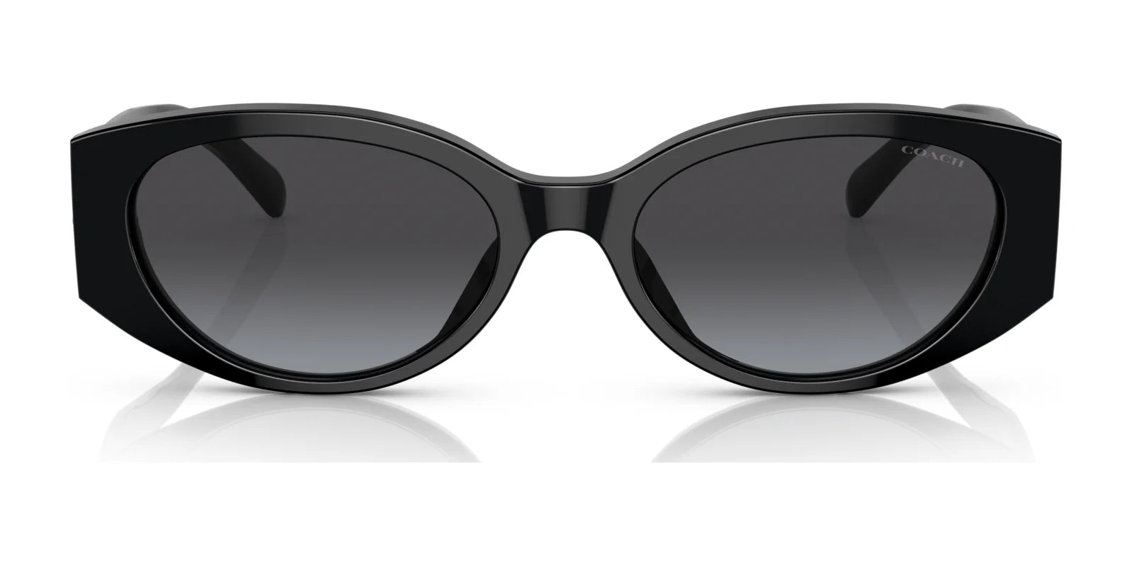 Coach CD867 HC8353F Sunglasses | Size 57