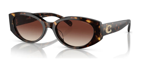 Coach CD867 HC8353F Sunglasses Dark Tortoise / Dark Brown Gradient