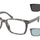 Grey Tortoise