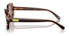 Coach CD868 HC8358F Sunglasses | Size 56 / Milky Amber / Green Solid (2N 19.2%) №571282