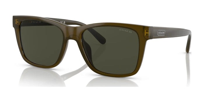 Coach CD455 HC8359U Sunglasses | Size 56 / Military Green №520382 / Dark Green Solid (3N 10.5%)