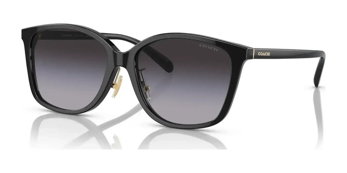 Coach CH617 HC8361F Sunglasses | Size 57 / Transparent Pink Gradient / Purple Pink Gradient (2N 23.6%) №57387W