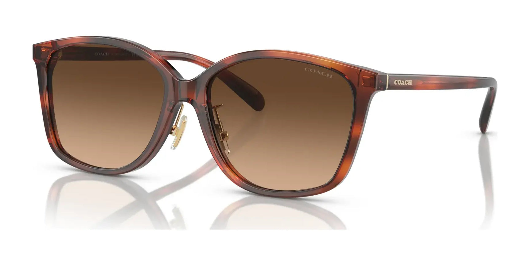 Coach CH617 HC8361F Sunglasses Caramel Tortoise / Brown Gradient