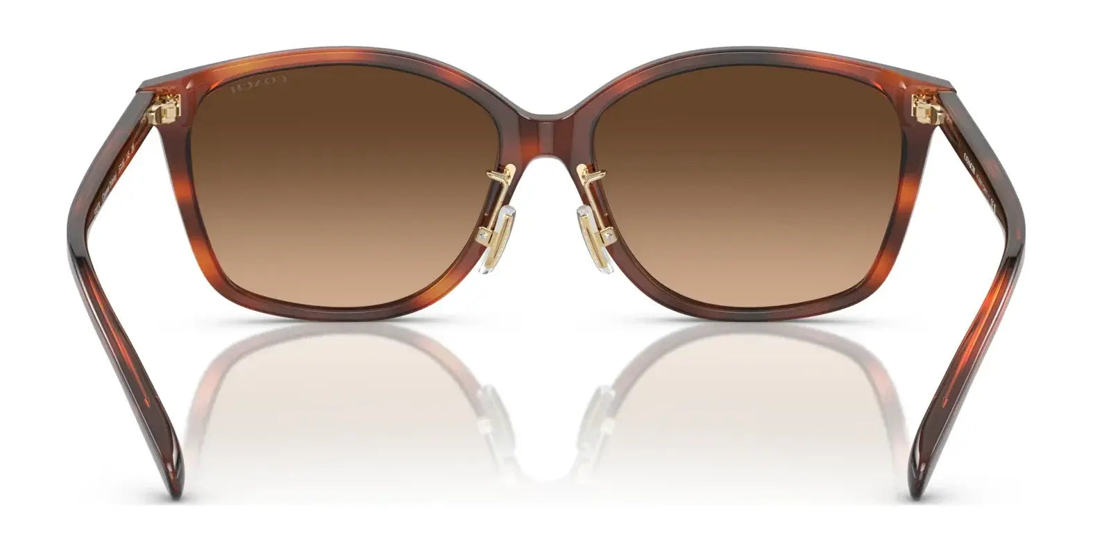 Coach CH617 HC8361F Sunglasses | Size 57