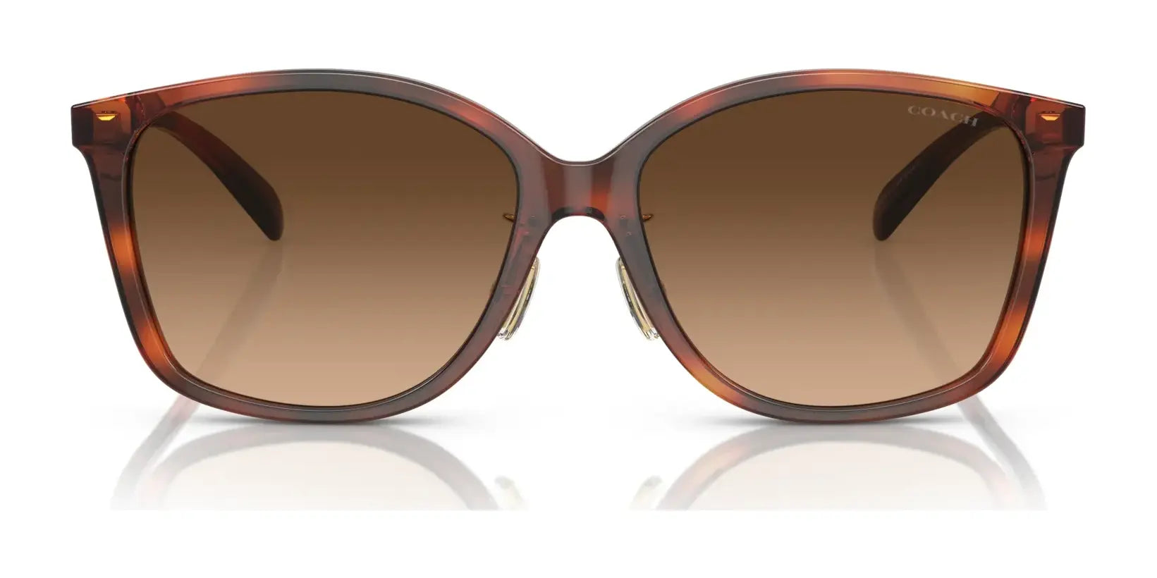 Coach CH617 HC8361F Sunglasses | Size 57