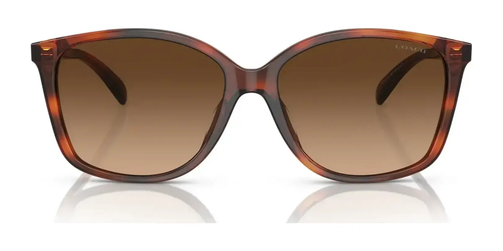 Coach CH558 HC8361U Sunglasses | Size 57