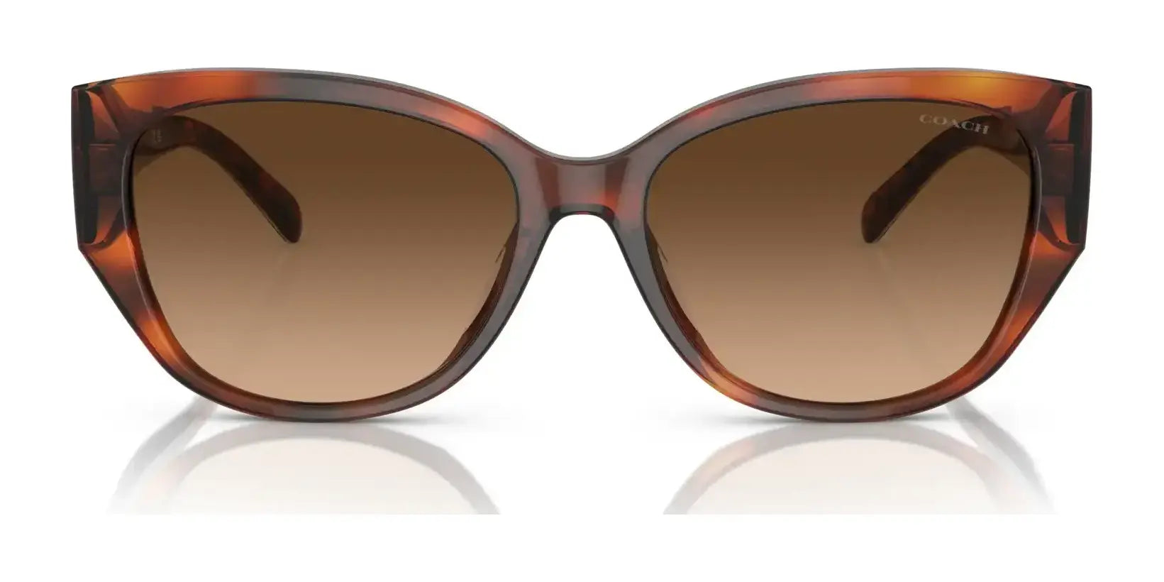 Coach CH563 HC8362U Sunglasses | Size 57