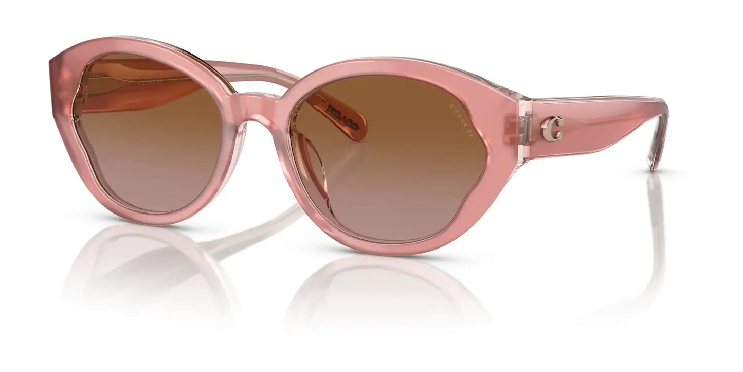 Coach CH569 HC8364U Sunglasses Milky Pink / Transparent Pink / Brown Gradient