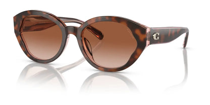 Coach CH569 HC8364U Sunglasses Tortoise / Transparent Pink / Brown Pink Gradient