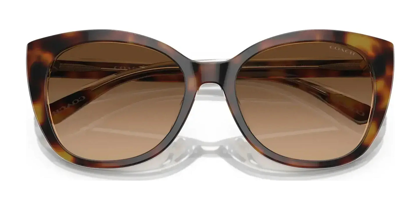 Coach CH566 HC8365U Sunglasses | Size 55