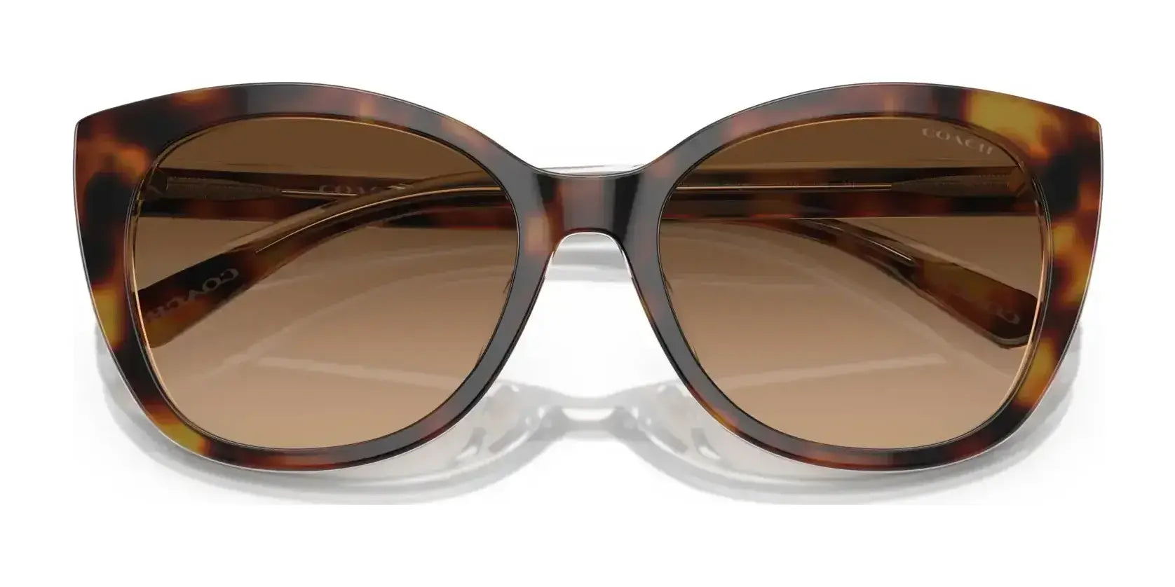 Coach CH566 HC8365U Sunglasses | Size 55