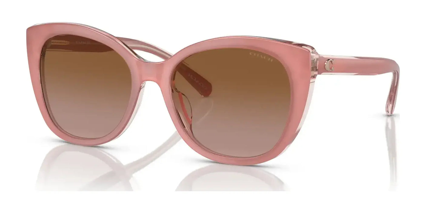 Coach CH566 HC8365U Sunglasses | Size 55