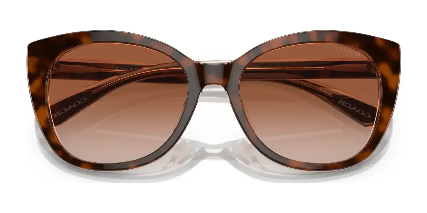 Coach CH566 HC8365U Sunglasses | Size 55