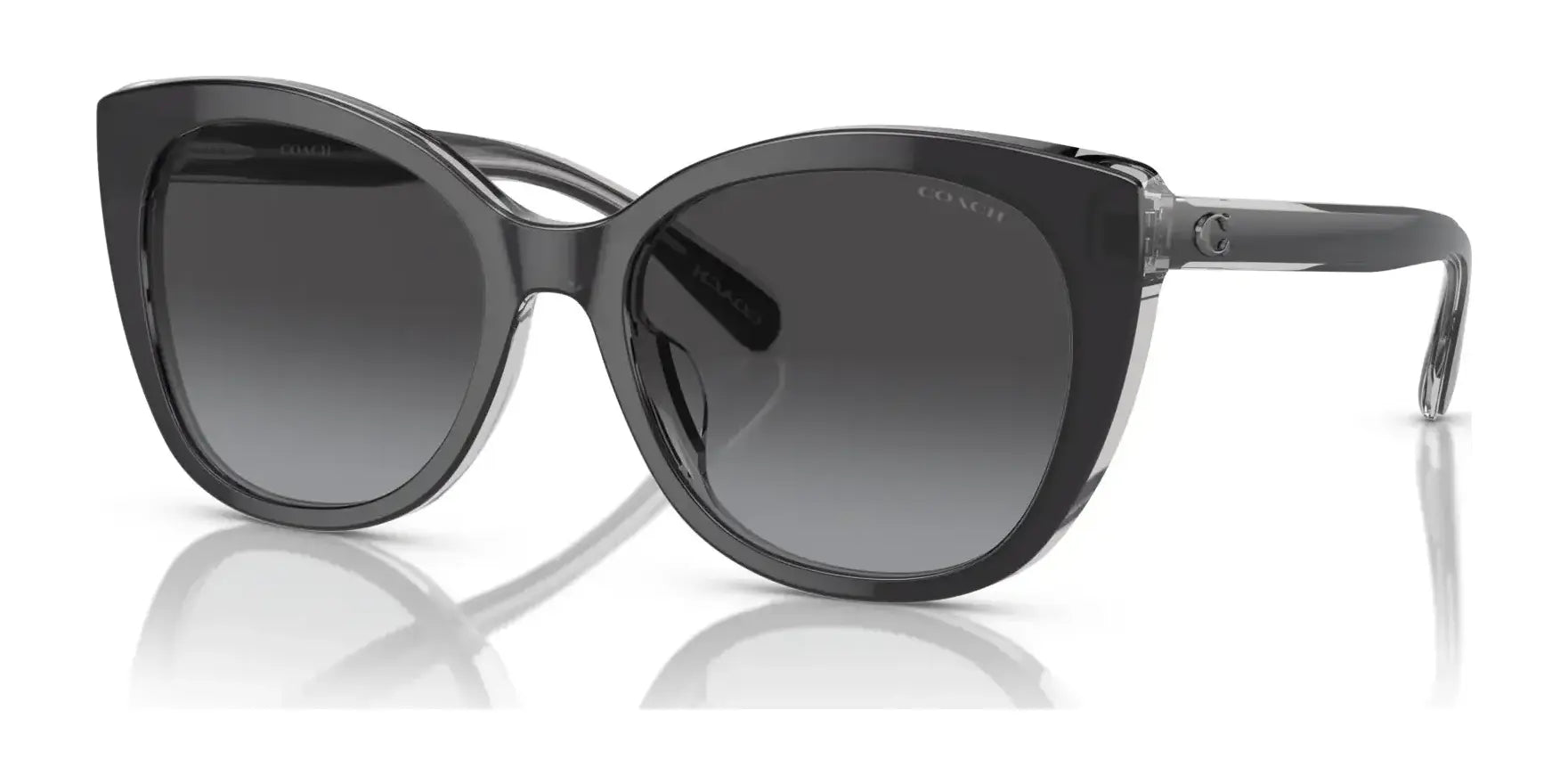 Coach CH566 HC8365U Sunglasses Black / Transparent Grey / Grey Gradient