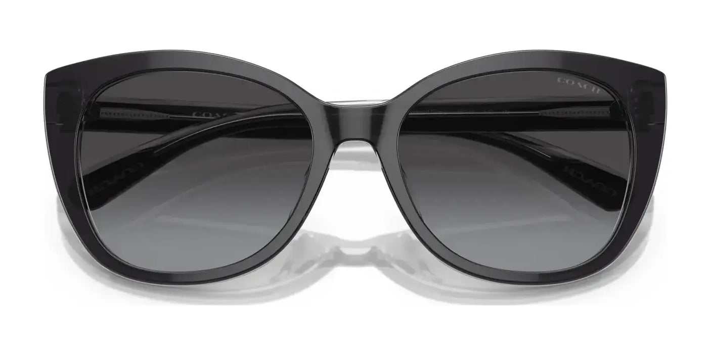 Coach CH566 HC8365U Sunglasses | Size 55