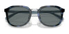 Coach CH577 HC8366 Sunglasses | Size 54 / Sage Tortoise / Green Solid (3N 9.4%) №575571