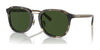 Coach CH577 HC8366 Sunglasses | Size 54 / Sage Tortoise / Green Solid (3N 9.4%) №575571