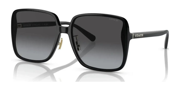Coach CH572 HC8368D Sunglasses | Size 61 / Black / Grey Gradient (3N 15.2%) №50028G