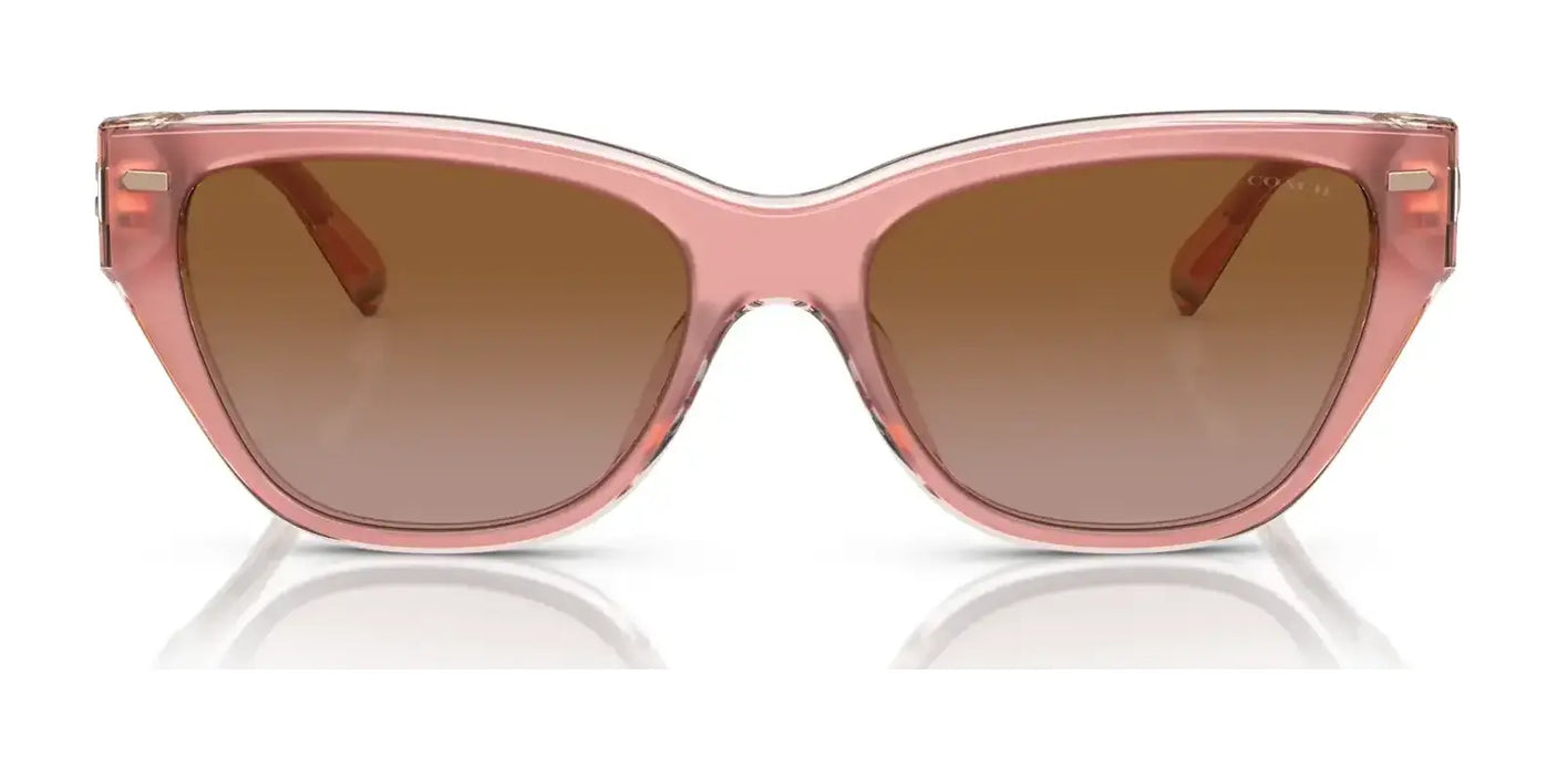 Coach CH660 HC8370F Sunglasses | Size 56