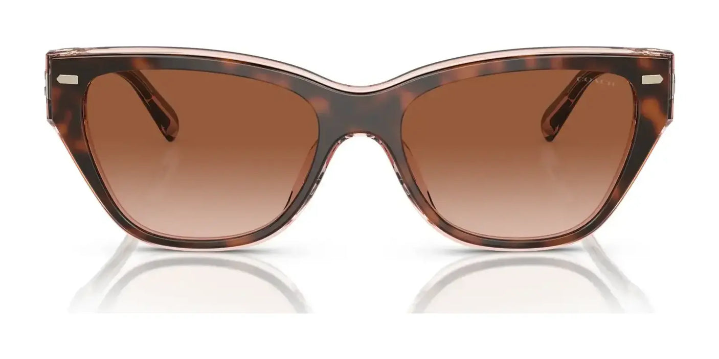 Coach CH660 HC8370F Sunglasses | Size 56