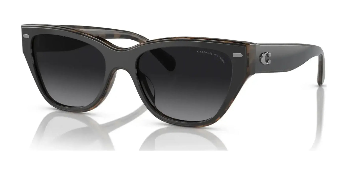 Coach CH660 HC8370F Sunglasses | Size 56