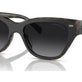 Black/Dark Tortoise
