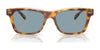 Coach CH583 HC8371U Sunglasses | Size 54 / Tortoise/Transparent Beige / Light Blue Solid (2N 37.3%) №575672