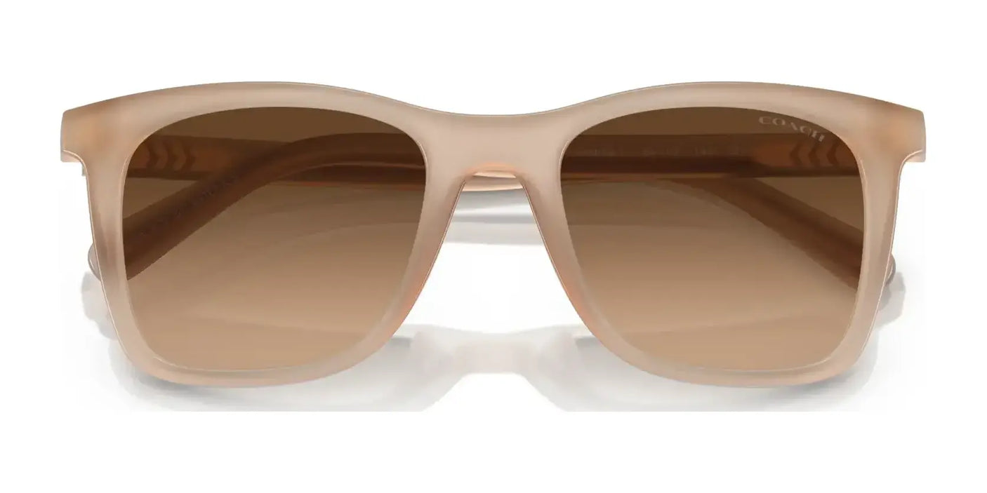 Coach CK463 HC8374F Sunglasses | Size 54