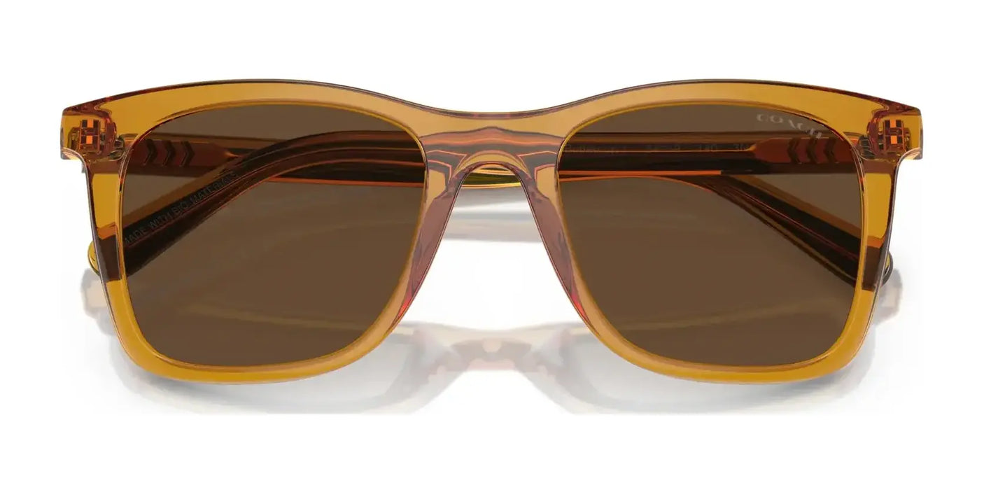 Coach CK463 HC8374F Sunglasses | Size 54