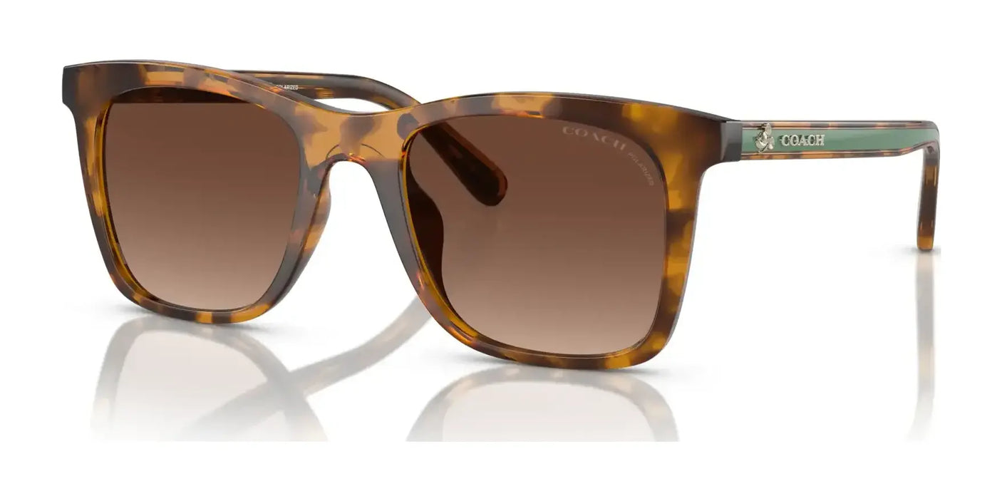 Coach CH561 HC8374U Sunglasses | Size 51