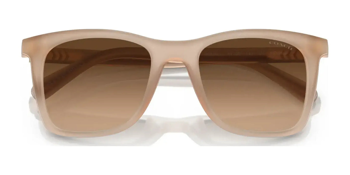 Coach CH561 HC8374U Sunglasses | Size 51