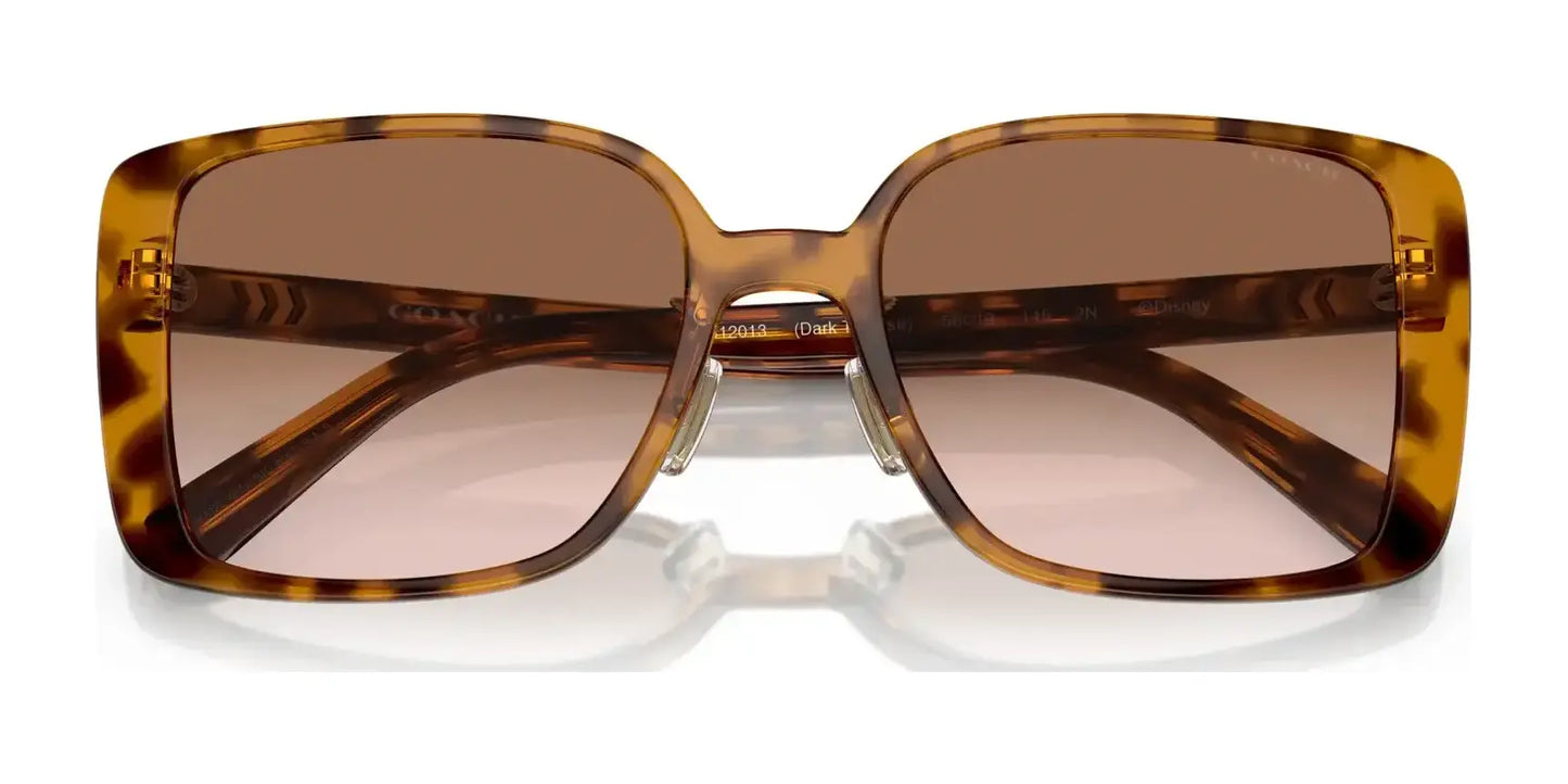 Coach CH562 HC8375 Sunglasses | Size 56