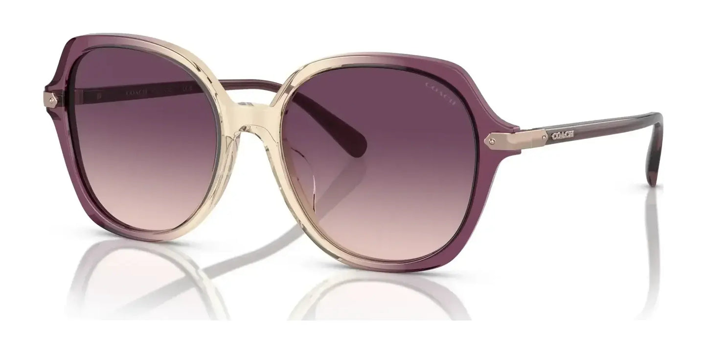 Coach CL925 HC8377U Sunglasses Multi / Purple Gradient