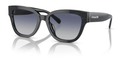 Coach CL920 HC8379U Sunglasses | Size 54