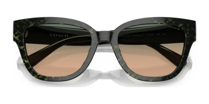 Coach CL920 HC8379U Sunglasses | Size 54