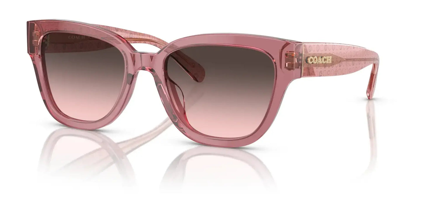 Coach CL920 HC8379U Sunglasses Transparent Berry / Grey Pink Gradient