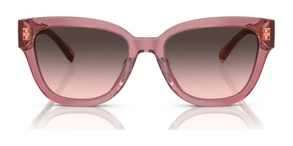 Coach CL920 HC8379U Sunglasses | Size 54