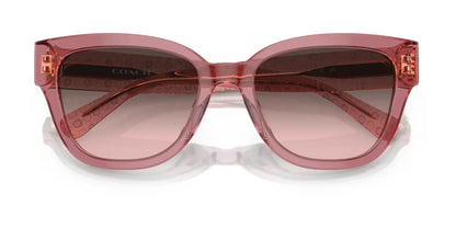 Coach CL920 HC8379U Sunglasses | Size 54