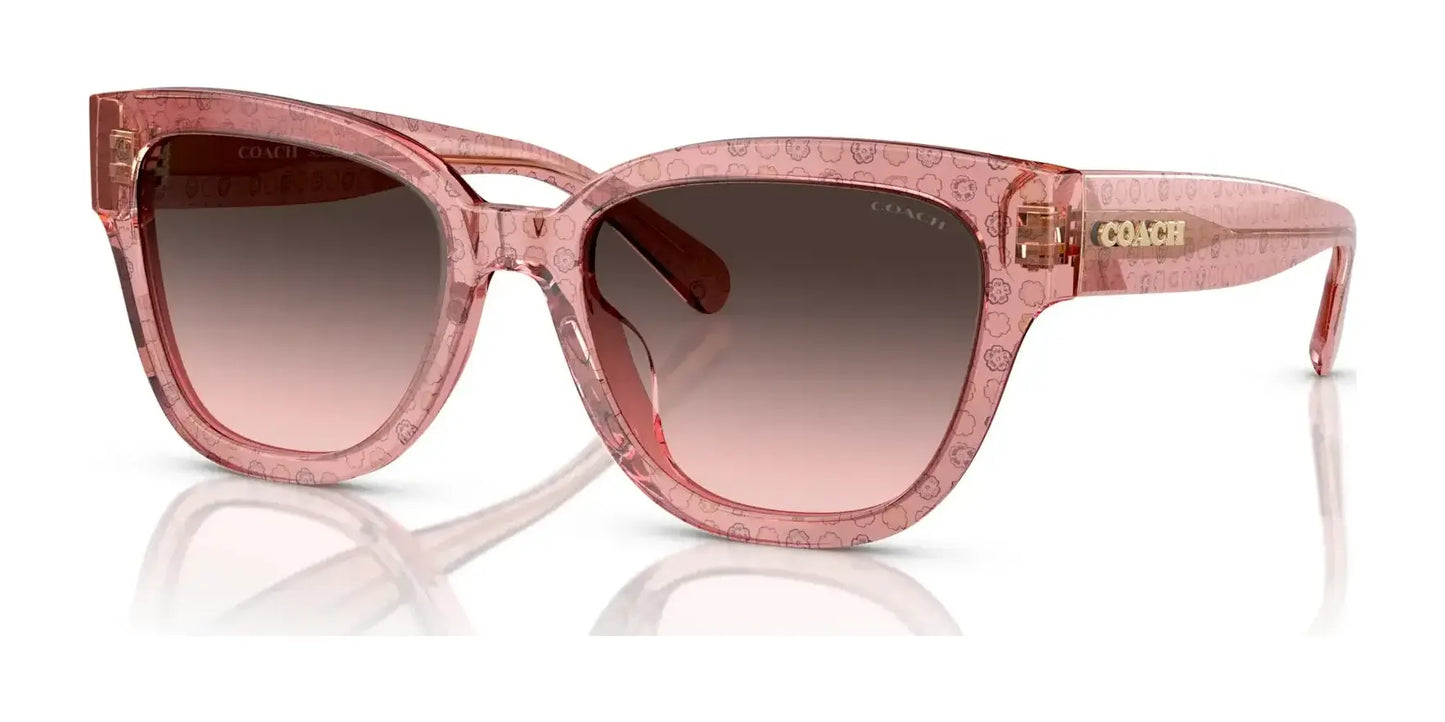 Coach CL920 HC8379U Sunglasses Tea Rose C / Grey Pink Gradient