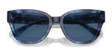 Coach CL920 HC8379U Sunglasses | Size 54