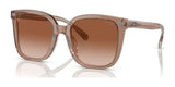 Coach CL919 HC8381F Sunglasses | Size 56