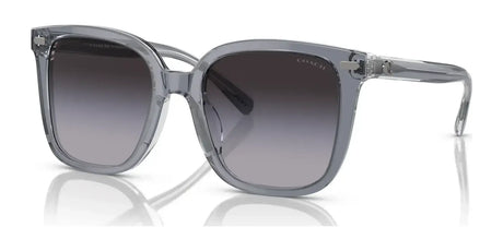 Coach CL919 HC8381F Sunglasses | Size 56