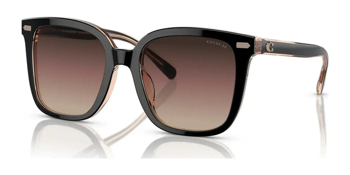 Coach CL919 HC8381F Sunglasses | Size 56 / Black / Violet (3N 15%) №5781E2