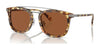 Coach CL913 HC8382 Sunglasses | Size 53 / Honey Tortoise / Brown Solid (3N 15.3%) №504573