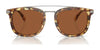 Coach CL913 HC8382 Sunglasses | Size 53 / Honey Tortoise / Brown Solid (3N 15.3%) №504573