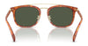 Coach CL913 HC8382 Sunglasses | Size 53 / Honey Tortoise / Brown Solid (3N 15.3%) №504573